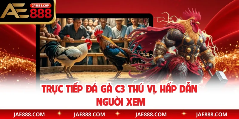 Trực tiếp đá gà C3 thú vị, hấp dẫn người xem
